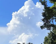 泰来天气预报,泰来7天天气预报,泰来15天天气预报,泰来天气查询